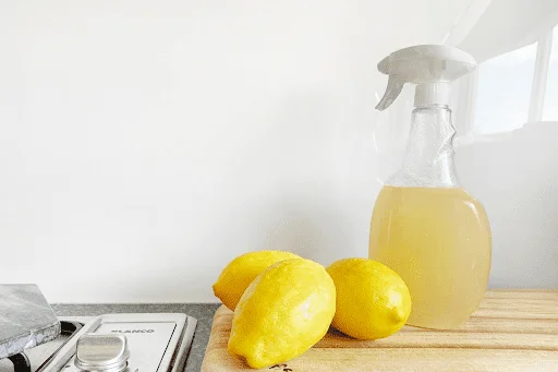 How To Clean Memory Foam Flip-Flops 7 Vinegar