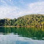 Picturesque seascape of rippling tranquil sea flowing among green trees against cloudy sky in sunlig