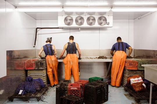 What To Wear Under Your Overalls When Visiting The Farm 5 Rear view of workers working in fishing industry