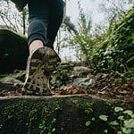 low angle of a person walking up stone steps through a forest