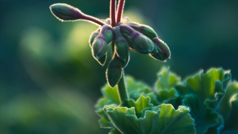 Is the Carhartt chore coat waterproof?