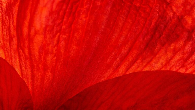 What union makes Red Wing boots?