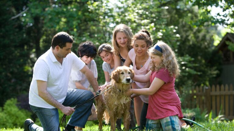 Who is Ariat owned by?