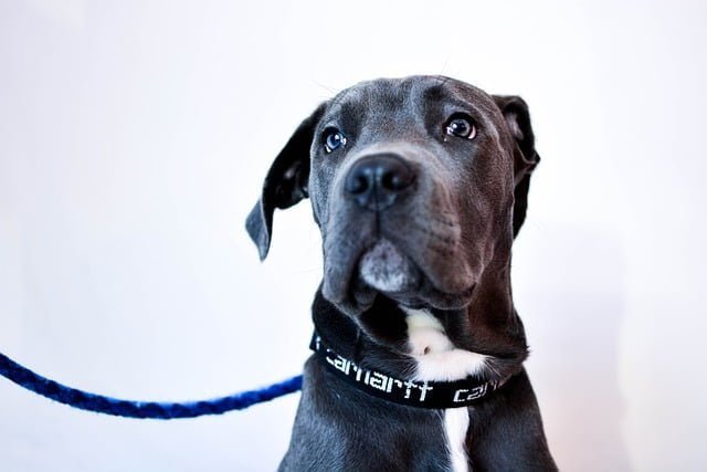 Are Carhartt shirts good for working out?