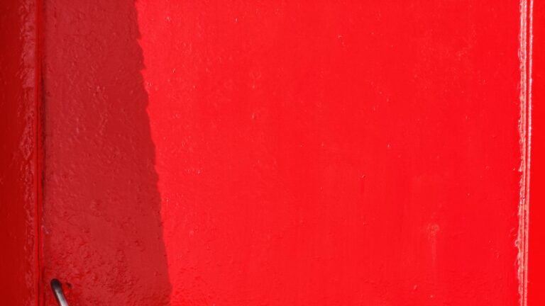 How long do Red Wing parrots live?