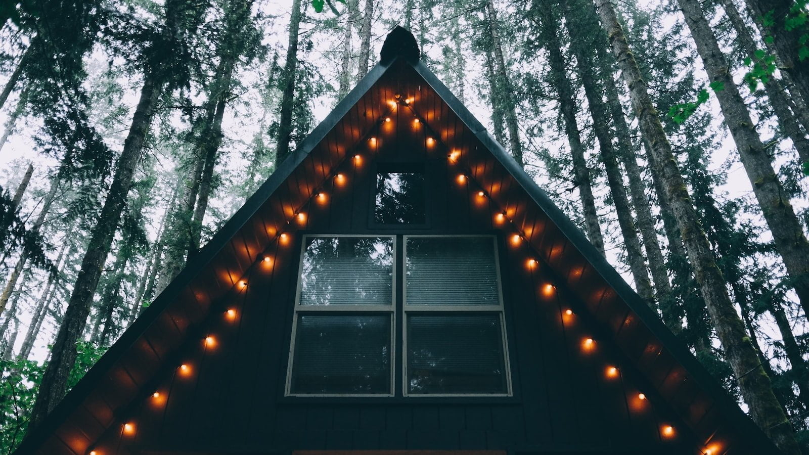 Do NNN boots work with Turnamic bindings?