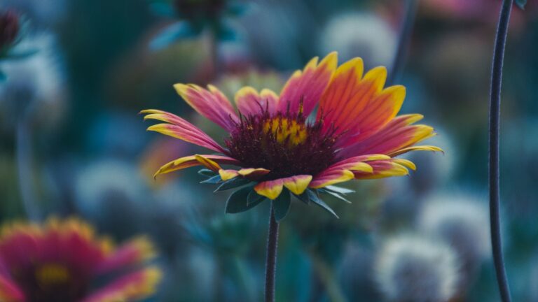 How do you tie Red Wing Shoes?