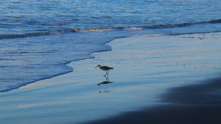 How are Carhartt Gloves measured?