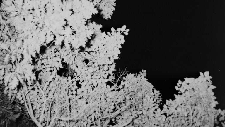 Does Red Wing make dress shoes?