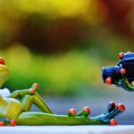 Does Tractor Supply sell Ariat?