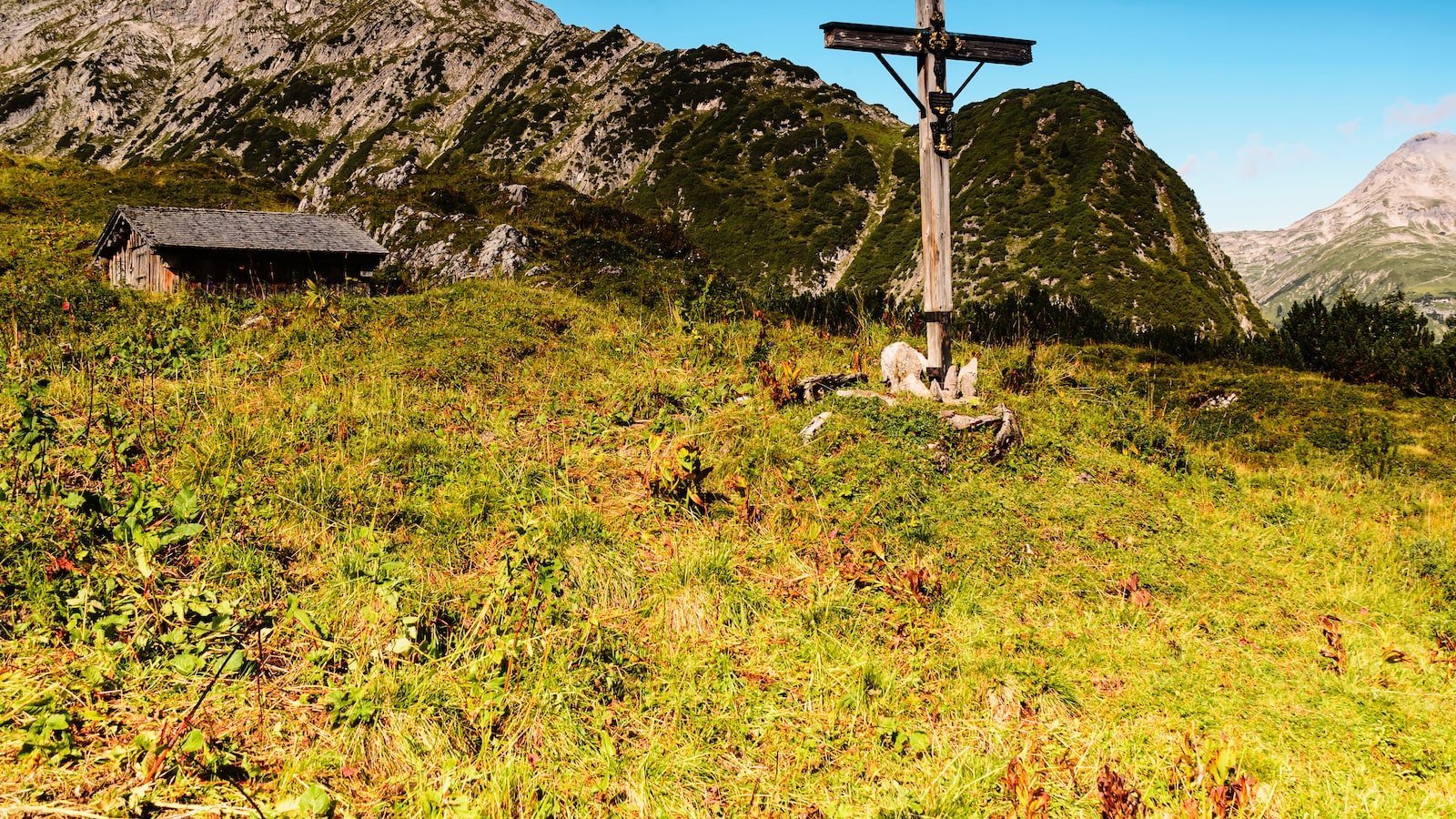 Does boathouse sell Blundstones?