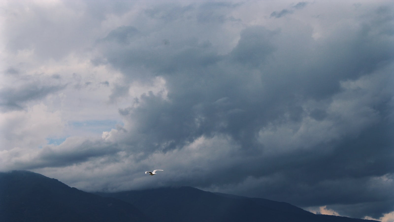 Are Ariat cowboy boots real leather?