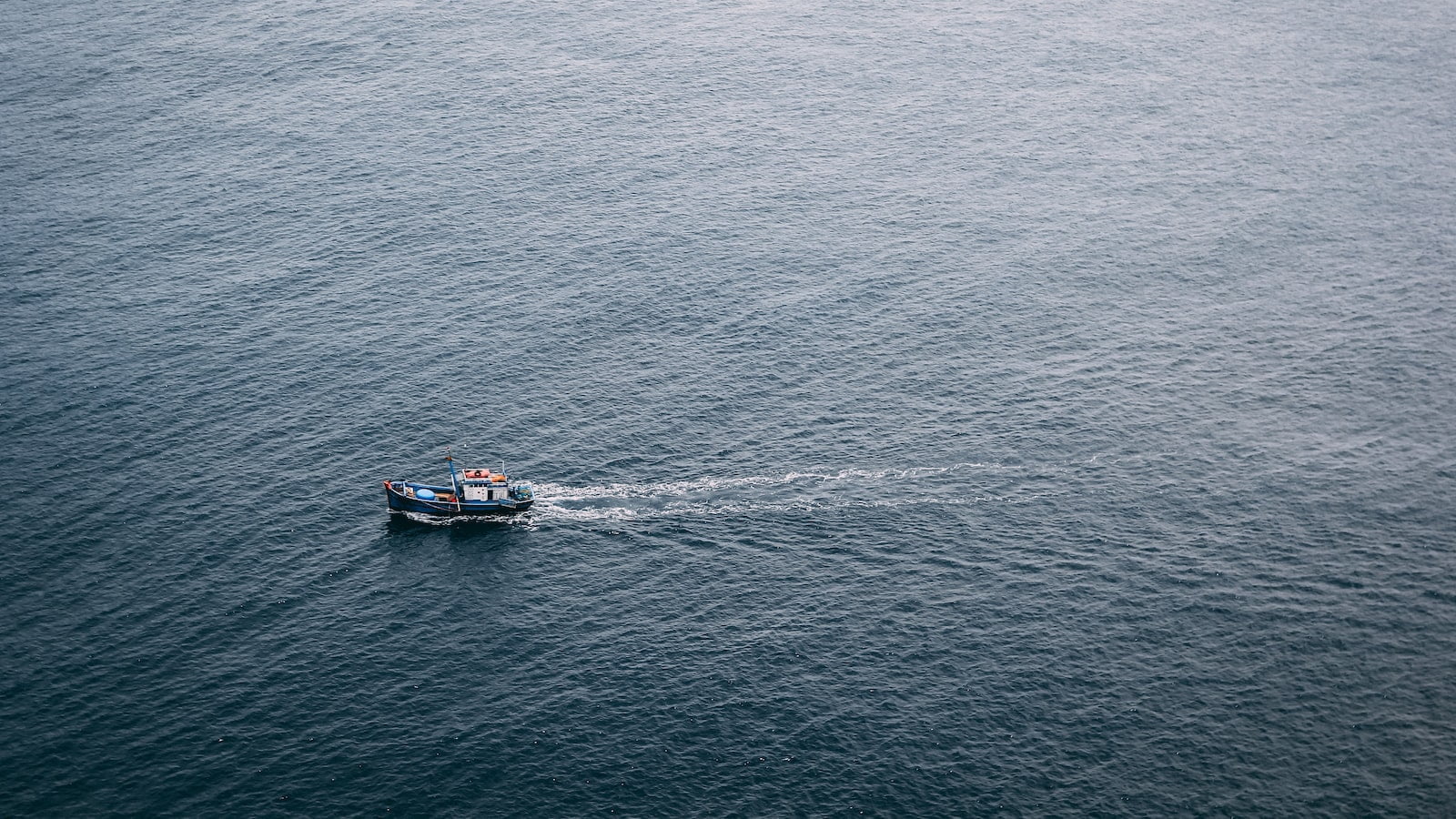 What are the differences in Ariat jeans? 1 What are the differences in Ariat jeans?