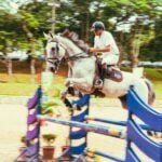 Is Ariat a horse riding brand?