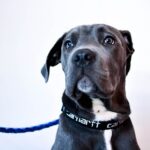 Is walls as good as Carhartt?