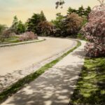 What is the Carhartt RN number?