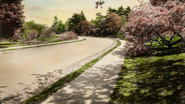 What is the Carhartt RN number? 10 What is the Carhartt RN number?