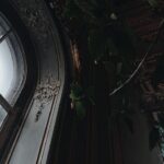 What are Ariat stackable jeans?